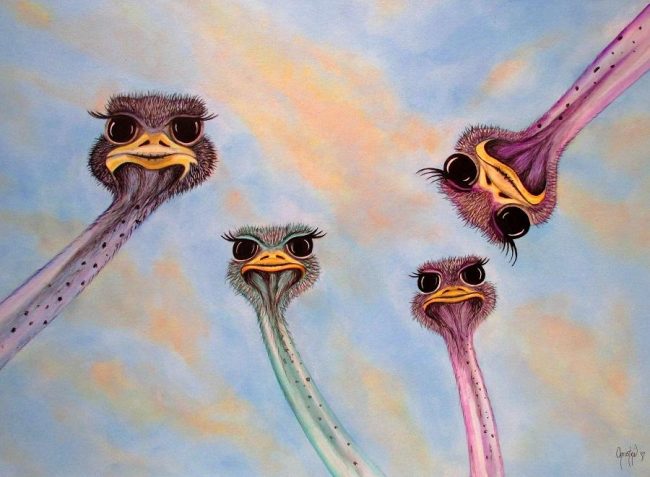 Ostrich Heads Birds Paint By Numbers