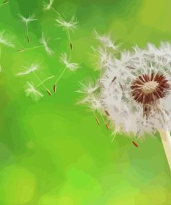 Paardenbloem Floral Paint By Numbers