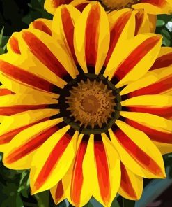 Gazania Yellow Flower Paint By Numbers