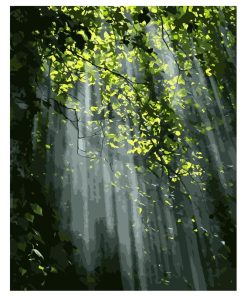 Dense Forest Nature Scenery Paint By Numbers
