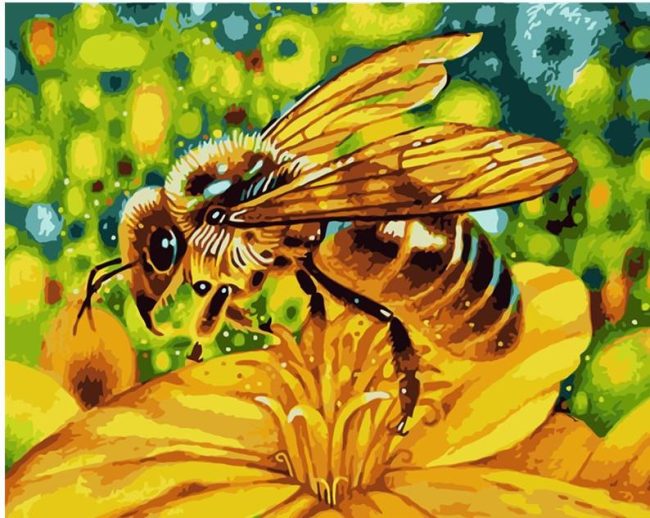 Yellow Bee Animals Paint By Numbers