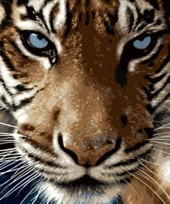 Blue Eyed Tiger Art Paint By Numbers