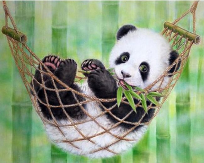 Panda Hammock Paint By Numbers