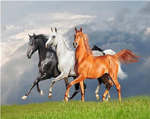 Par-num-ros-bricolage-couleurs-cheval-Animal-peinture-l-huile-acrylique-peinture-la-main-sur-toile-1