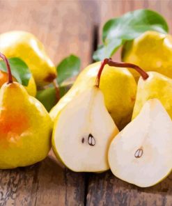Pear Fruits Paint By Numbers