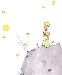 Little Prince Animated Paint By Numbers