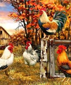 Countryside Farm Birds Paint By Numbers