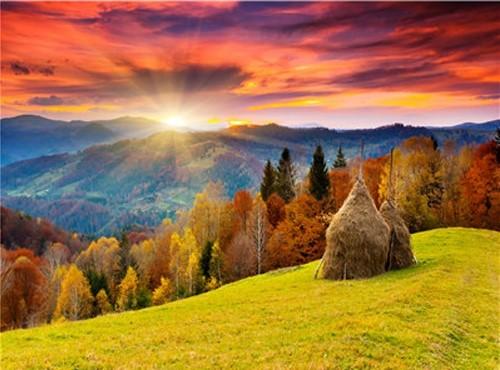 Completed paint by numbers artwork