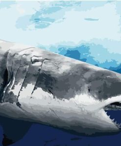 Great White Shark Animal Paint By Numbers