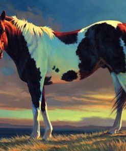 Brown and White Horse Animals Paint By Numbers