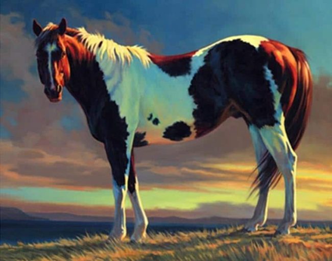 Brown and White Horse Animals Paint By Numbers