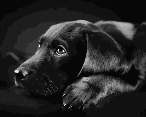 Peinture-par-num-ros-bricolage-livraison-directe-40x50-50x65cm-noir-Labrador-Retriever-Animal-toile-mariage-d-1