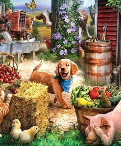 Farm Animal Collection Paint By Numbers