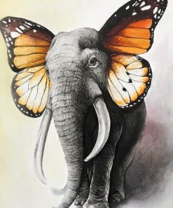 Elephant Butterfly Paint By Numbers