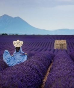 Lavender Woman Scene Paint By Numbers