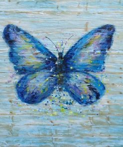 Common Blue Butterfly Kit Paint By Numbers