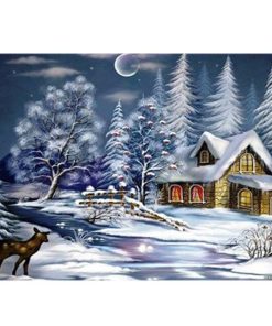 Winter Snowy Landscape Paint By Numbers