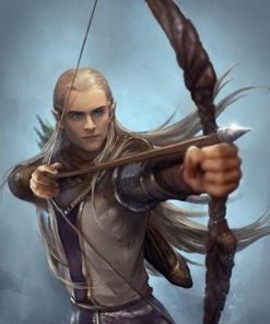 Legolas Christmas People Paint By Numbers