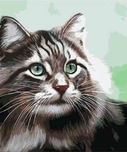 Adorable Cat Pet Paint By Numbers