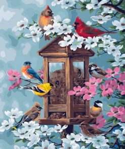 Bird Cages Nature Paint By Numbers