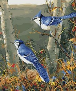 Blue Jay Bird Scene Paint By Numbers