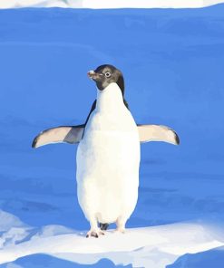 Funny Snowy Penguin Paint By Numbers