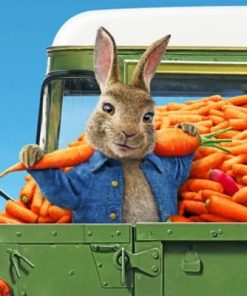 Peter Rabbit Carrot Adventure Paint By Numbers