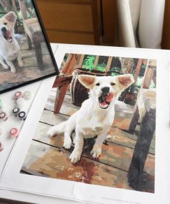 Personalized Picture Frame Paint By Numbers