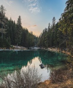 Pine Forest Lake Scene Paint By Numbers