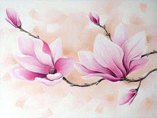 Pink Jasmine Rose Paint By Numbers