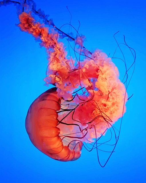 Pink-Jellyfish-adult-paint-by-numbers