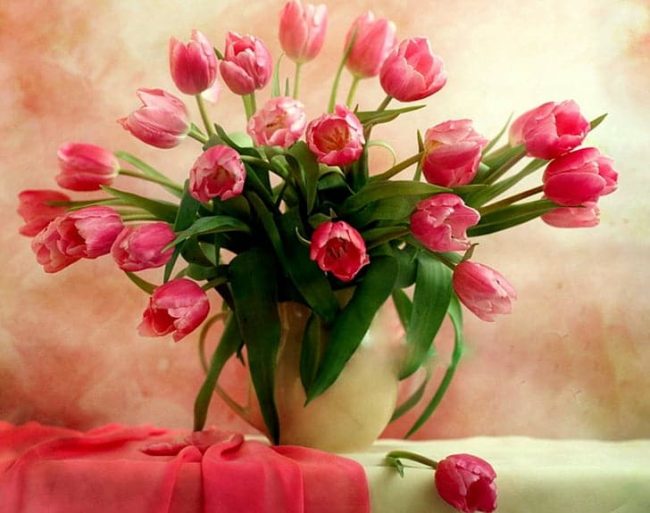 Pink Tulip Flowers Paint By Numbers