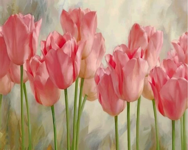 Pink Tulip Blooms Paint By Numbers