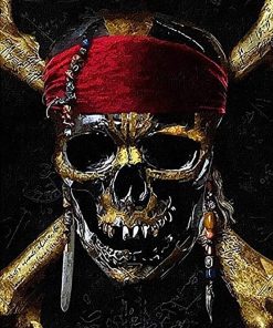 Pirate Skull Art Paint By Numbers