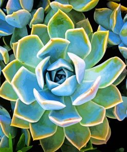 Succulent Blue and Green Paint By Numbers