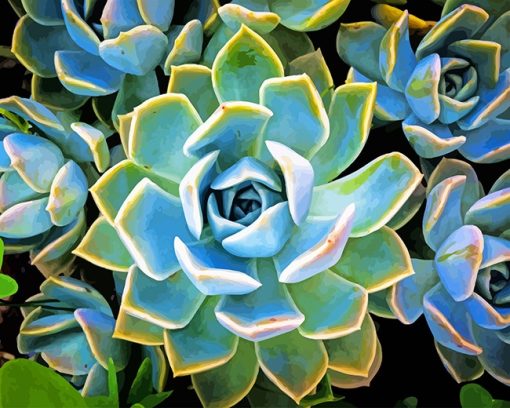 Plante-succulente-Adult-Paint-by-numbers