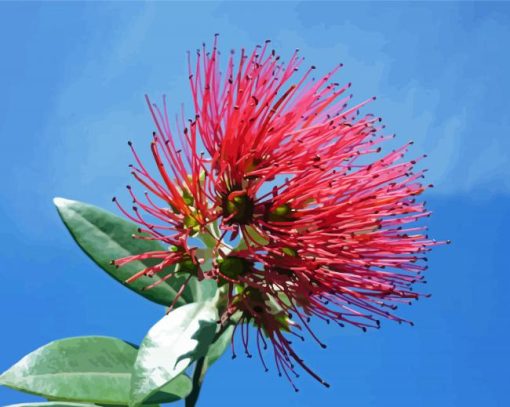Pohutukawa-Flower-paint-by-numbers