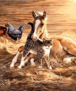 Pony Horse Paint By Numbers