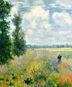 Claude Monet Impressionist Field Paint By Numbers
