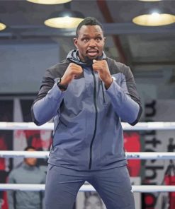 Dillian Whyte Boxer Paint By Numbers