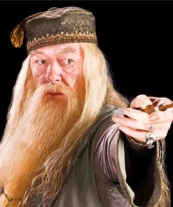 Albus Dumbledore Hogwarts Paint By Numbers