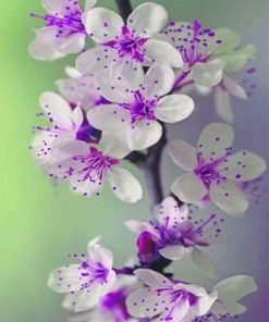 Purple Orchid Flower Paint By Numbers