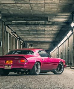 1977 Camaro Classic Paint By Numbers