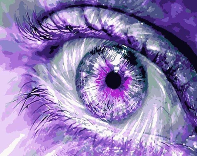 Purple Eyes Themed Paint By Numbers