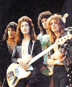 Queen Band Music Icon Paint By Numbers