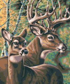 White Tailed Deer Pair Paint By Numbers