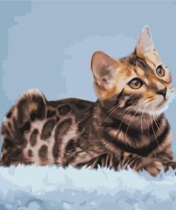 Bengal Cat Painting Kit Paint By Numbers