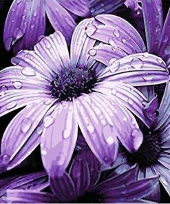 Purple Rose Paint By Numbers