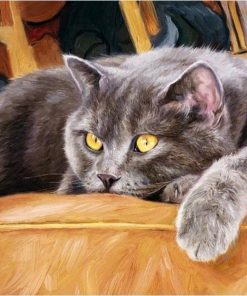 Colorful Cat Relaxing Paint By Numbers