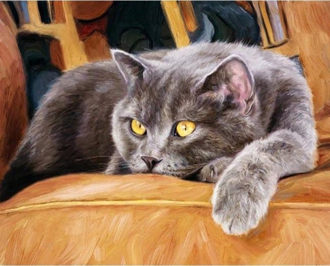 Colorful Cat Relaxing Paint By Numbers